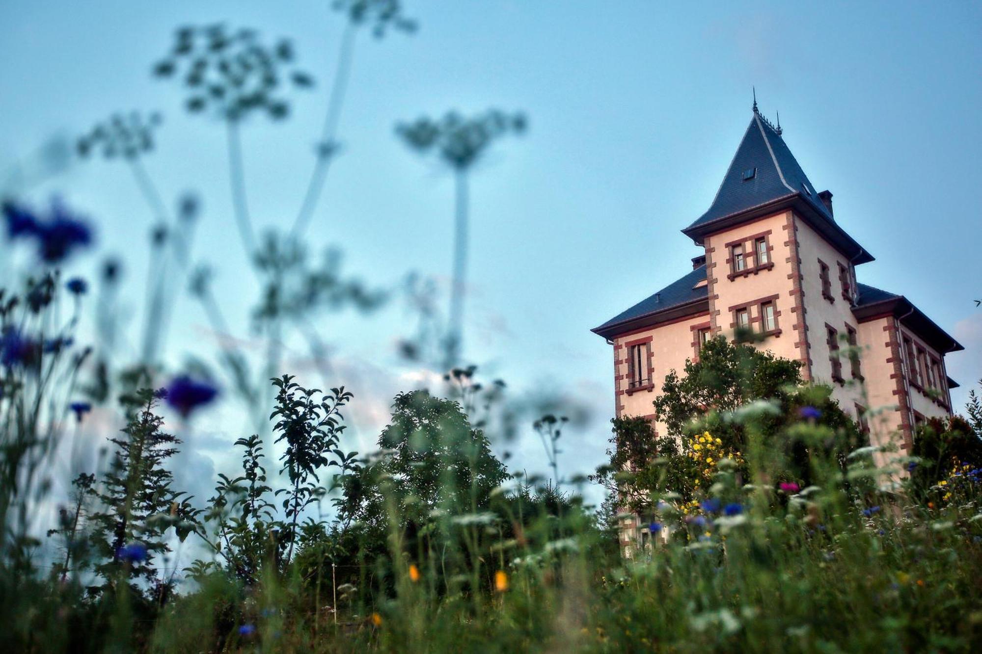 Chateau Robert Raon-lʼÉtape Exteriör bild