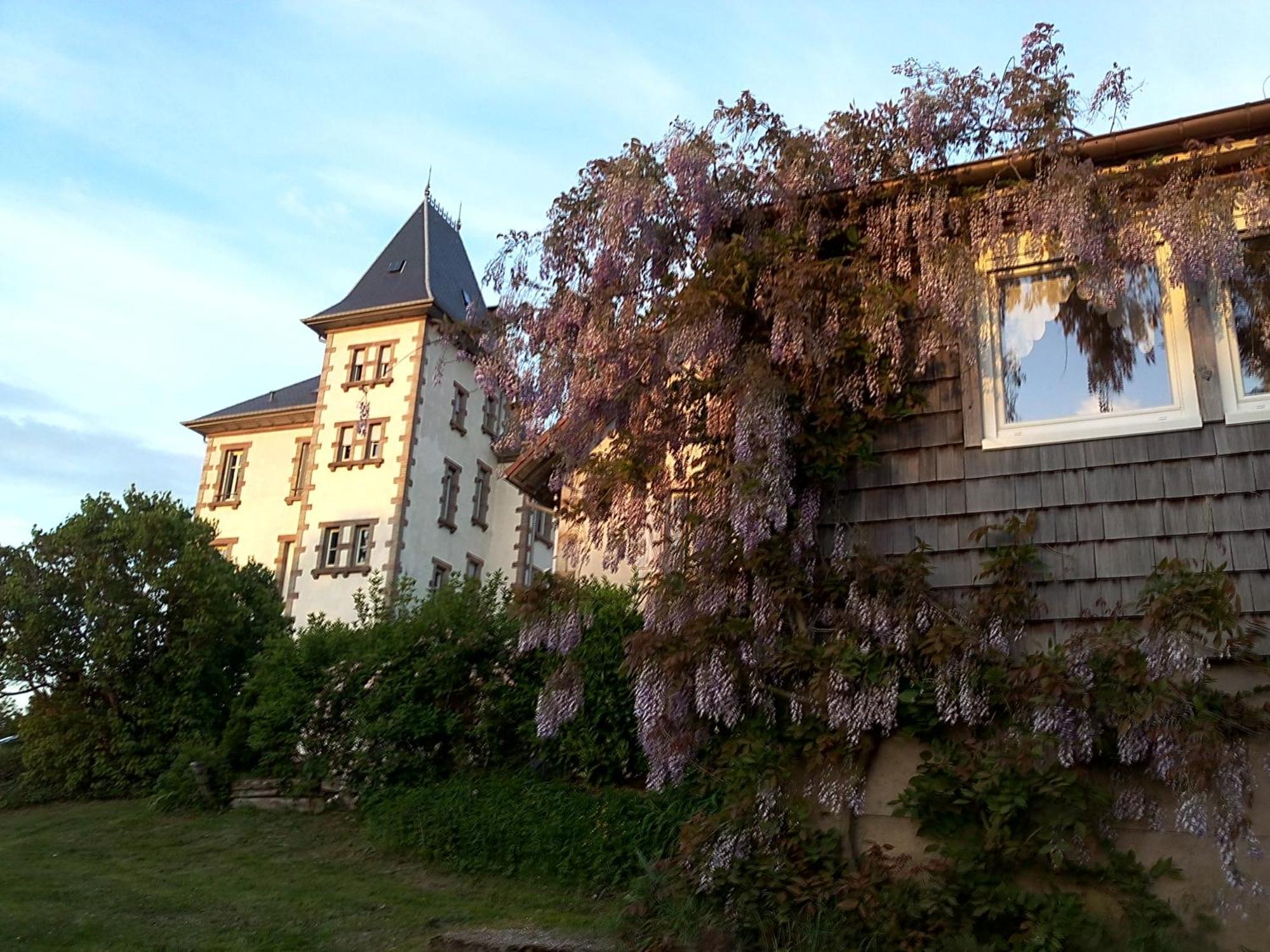 Chateau Robert Raon-lʼÉtape Exteriör bild